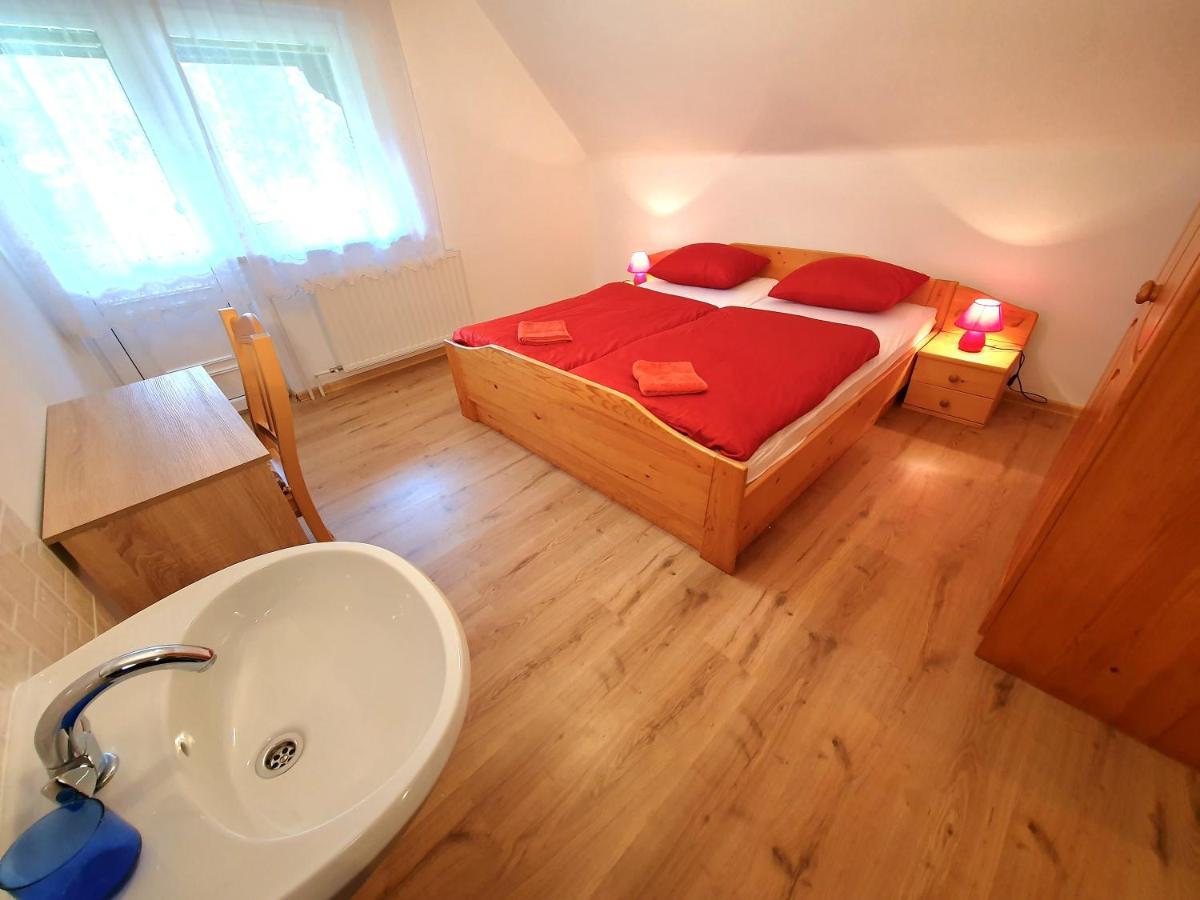 Apartmaji Zupanc Ivanka 博希尼 外观 照片